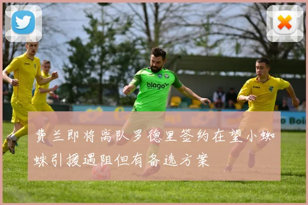 费兰即将离队罗德里签约在望小蜘蛛引援遇阻但有备选方案