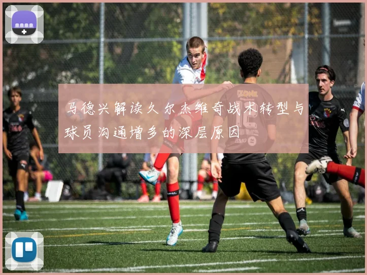马德兴解读久尔杰维奇战术转型与球员沟通增多的深层原因